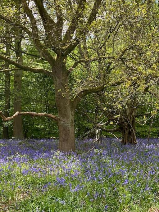 South Cottage - Garden, Views, Parking, Dogs, Cheshire, Walks, Family Adlington Luaran gambar
