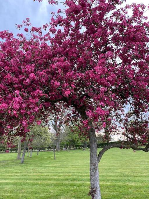 South Cottage - Garden, Views, Parking, Dogs, Cheshire, Walks, Family Adlington Luaran gambar