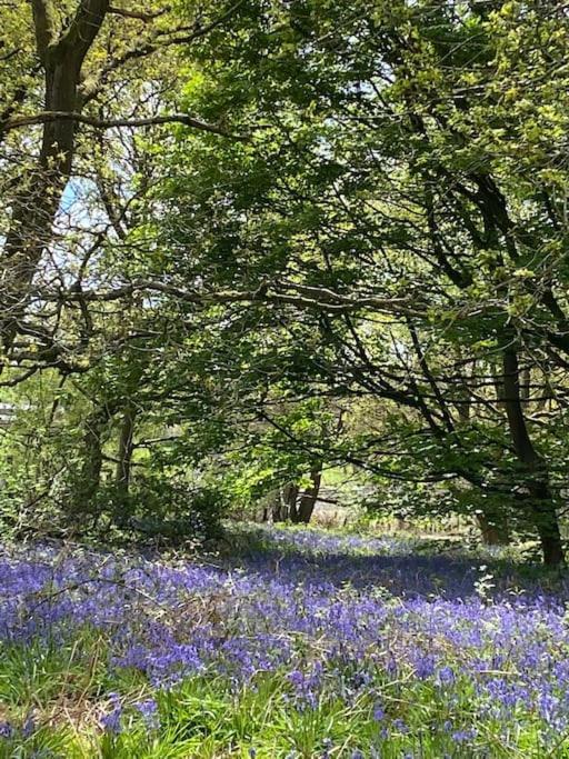 South Cottage - Garden, Views, Parking, Dogs, Cheshire, Walks, Family Adlington Luaran gambar